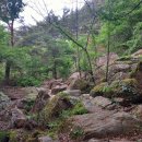 세동민박 이미지