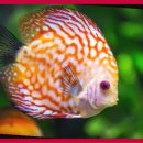 연합포장 이미지