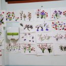 늘푸른 경로당 이미지