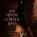디스커버리네이처 스케이프동탄점 | 동탄 가볼만한곳 네이처스케이프플러스 3살 아이랑 다녀온 후기