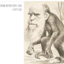 진화는 진보인가? '최재천 교수의 다윈 2.0 (6)' 이미지