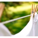 햇빛세탁 이미지