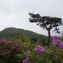 좋은아침 이미지