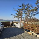 코지네이쳐 이미지