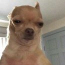 보니떼뷰티