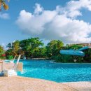 로얄룸클럽 이미지