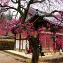 정병공인중개사사무소 이미지