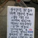 아마의 맹점 이미지