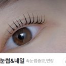 첫눈속눈썹&네일