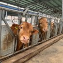 제천농장 이미지