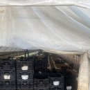 비실마을회관 이미지