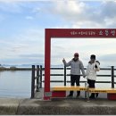 섬에 머물다 이미지