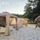 포레키즈 이미지
