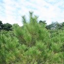 국립5.18민주묘지(관리동) 이미지