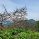 덕정사 네이버블로그
