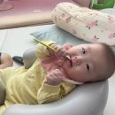 시온녹즙 | 아기 5개월 이유식 추천 풀무원베이비밀 배냇밀 케어비 비교