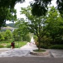 부산수목전시원 이미지