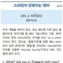 on a whim 이미지