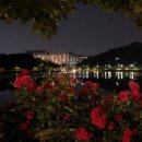 퍼스트지 - 22485 | 화정엘리체 퍼스트지 입주자 사전점검 후기와 향후가치