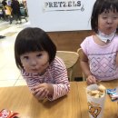 앤티앤스프레즐속초
