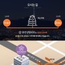 렉스성형외과의원