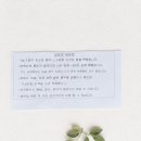 대한포장중기 | 쌍둥이 임산부 임신 중기 철분 관리, 맘스포뮬러 임산부 액상철분 후기