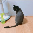 작고 소중해 이미지