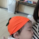 (주)호이 | 세이브존 2025년 가을학기 호이호이 팡팡 신재영 선생님 수업 후기