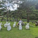 서운산자연휴양림 | 서운산자연휴양림 카라반4번 계곡 솔직후기