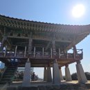 서천 마량리 동백나무 숲 이미지