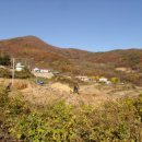 농업농촌테마마을 이미지