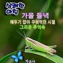 서귀포 산방산 아래 화순항 금모래 해수욕장 에서 맨발걷기후 늦은 해수욕 이미지