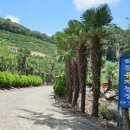 학동농장 이미지