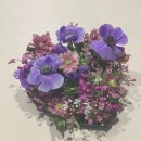 신 부석가든 | 프렌치플라워 클래스 4회차 후기 at 녹영꽃예술원 (국비지원, 내일배움카드 사용 가능)