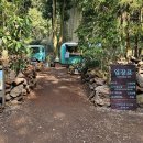 자연과함께 | 제주 여행 동쪽 가볼만한 곳 자연과 함께 힐링되는 비밀의 숲 방문후기