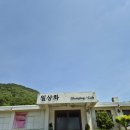 보은 대형카페 추천, 폐교 감성 가득한 일상화카페 내돈내산 후기