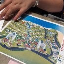 엔젤태권도장 | [나트랑 자유여행 3일차] 빈원더스 VIP 투어, 카피바라 먹이주기 &amp; 타타쇼 VIP좌석, 혼탐 • 알마리조트