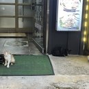 갱수네맛집 이미지