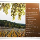 서울복사 이미지