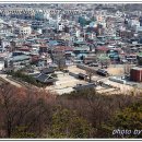 수원-0992 티스토리