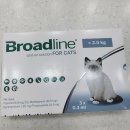 편안우리약국 이미지