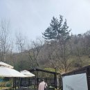 구만천 | 봄가방 백팩 추천: 에메모가든(mmo)백팩 초콜렛 85사이즈 언박싱 착샷(내돈내산)