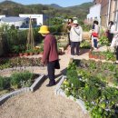 녹색농원 이미지