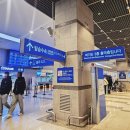 새부산약국 | 부산-대마도 히타카츠항 배멀미로 죽다 살아난 팬스타 쓰시마링크호 탑승 후기