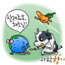 채식향기 이미지