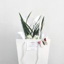 어진동_지방자치회관 | 세종 지방자치회관 어진동 꽃집 꽃배달 승진축하 화분 garden flower studio