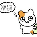 티티에스(TTS)월곶점 이미지