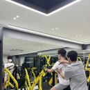 플렌비 이미지