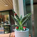 명성경로당 이미지