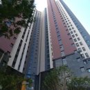 성모자이약국 이미지